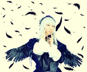 Rating: Safe Score: 0 Tags: 1girl angel_wings animal bird bird_on_hand bird_on_head bird_on_shoulder black_feathers black_wings crow dove eagle feathered_wings feathers flock hairband halo long_hair long_sleeves looking_at_viewer owl purple_eyes seagull silver_hair solo solo_wing suigintou white_feathers wings User: admin