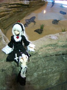 Rating: Safe Score: 0 Tags: 1girl boots closed_eyes doll dress feathers gothic_lolita grass hairband long_hair long_sleeves photo sitting solo suigintou white_hair wings User: admin