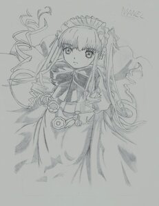 Rating: Safe Score: 0 Tags: 1girl auto_tagged dress flower image long_hair long_sleeves looking_at_viewer monochrome rose shinku solo standing traditional_media very_long_hair User: admin