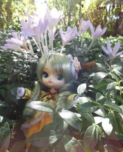 Rating: Safe Score: 0 Tags: 1girl blurry blurry_foreground bug butterfly depth_of_field doll flower green_hair insect kanaria ribbon solo User: admin