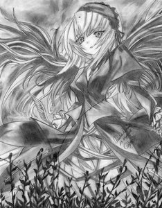 Rating: Safe Score: 0 Tags: 1girl dress flower frills greyscale hairband image long_hair long_sleeves looking_at_viewer monochrome plant solo suigintou traditional_media User: admin