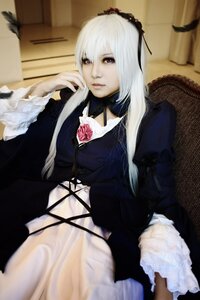 Rating: Safe Score: 0 Tags: 1girl blurry depth_of_field dress flower frills gothic_lolita lips long_hair long_sleeves looking_at_viewer photo rose silver_hair sitting solo suigintou User: admin