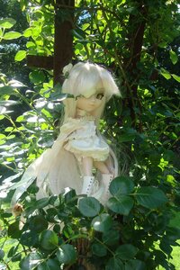 Rating: Safe Score: 0 Tags: 1girl doll dress flower hair_over_one_eye kirakishou leaf looking_at_viewer looking_back nature plant solo sunlight vines white_dress white_hair User: admin