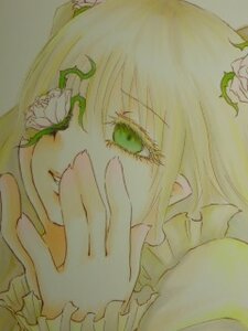 Rating: Safe Score: 0 Tags: 1girl close-up fingernails flower green_eyes image kirakishou looking_at_viewer simple_background solo traditional_media User: admin