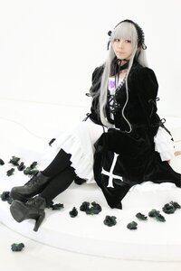 Rating: Safe Score: 0 Tags: 1girl doll_joints dress flower joints long_hair rose silver_hair sitting solo suigintou User: admin