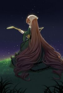 Rating: Safe Score: 0 Tags: 1girl absurdly_long_hair brown_hair dress elbow_gloves gloves grass green_dress green_eyes image long_hair night night_sky shooting_star sky solo star_(sky) starry_sky suiseiseki very_long_hair User: admin