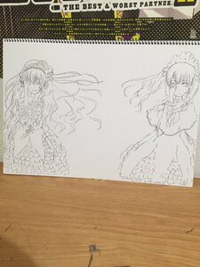 Rating: Safe Score: 0 Tags: 1girl dress frills image long_hair long_sleeves monochrome pair shinku smile standing suigintou very_long_hair User: admin