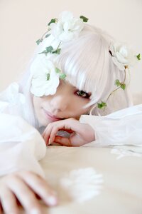 Rating: Safe Score: 0 Tags: 1girl bangs blurry blurry_foreground closed_mouth depth_of_field flower green_eyes kirakishou lips looking_at_viewer solo white_flower white_hair User: admin