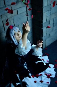 Rating: Safe Score: 0 Tags: 1girl blurry depth_of_field holding holding_weapon long_sleeves petals rose_petals short_hair skirt solo suigintou weapon User: admin