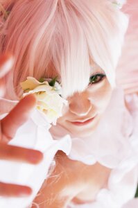 Rating: Safe Score: 0 Tags: 1girl animal_ears bangs blurry blurry_background blurry_foreground close-up closed_mouth depth_of_field flower green_eyes kirakishou lips looking_at_viewer photo pink_hair smile solo white_hair User: admin