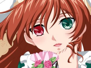 Rating: Safe Score: 0 Tags: 1girl bouquet brown_hair close-up face flower green_eyes image long_hair looking_at_viewer pink_flower pink_rose red_hair ribbon rose solo suiseiseki white_rose User: admin