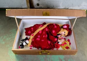 Rating: Safe Score: 0 Tags: 1girl blonde_hair blue_eyes bow dress flower in_box in_container painting_(object) petals photo rose shinku shoes sitting solo User: admin