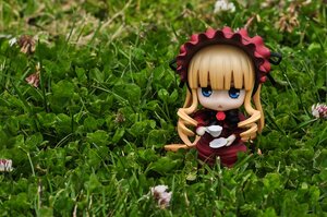 Rating: Safe Score: 0 Tags: 1girl blonde_hair blue_eyes bonnet bow doll dress flower long_hair red_dress rose shinku solo User: admin