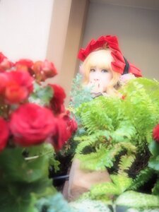 Rating: Safe Score: 0 Tags: 1girl blonde_hair blue_eyes blurry blurry_foreground bow depth_of_field flower looking_at_viewer photo red_flower red_rose ribbon rose shinku solo User: admin