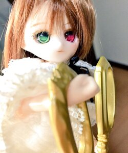 Rating: Safe Score: 0 Tags: 1girl bangs blurry depth_of_field doll heterochromia holding long_sleeves looking_at_viewer red_eyes short_hair solo souseiseki upper_body User: admin