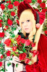 Rating: Safe Score: 0 Tags: 1girl blonde_hair blue_eyes camellia flower lips long_hair orange_flower pink_rose red_flower red_rose rose rose_petals shinku solo thorns traditional_media User: admin