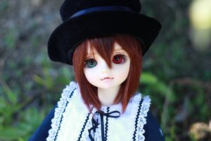 Rating: Safe Score: 0 Tags: 1girl bangs black_headwear blurry blurry_background brown_hair closed_mouth collar depth_of_field doll dress frills hat heterochromia looking_at_viewer outdoors plant red_eyes short_hair solo souseiseki upper_body User: admin