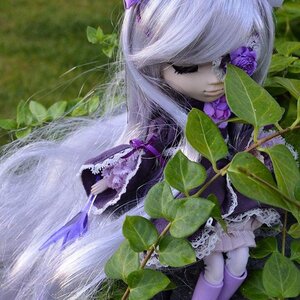 Rating: Safe Score: 0 Tags: barasuishou doll flower leaf long_hair plant rain solo traditional_media User: admin