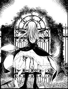 Rating: Safe Score: 0 Tags: 1girl dress greyscale image long_hair long_sleeves monochrome shoes socks solo standing suigintou underwear wings User: admin