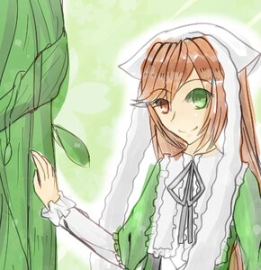 Rating: Safe Score: 0 Tags: 1girl brown_hair dress green_dress green_eyes head_scarf heterochromia image long_hair long_sleeves red_eyes smile solo suiseiseki very_long_hair watering_can User: admin