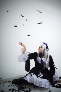 Rating: Safe Score: 0 Tags: 1girl bird dress feathers flower frilled_sleeves frills gothic_lolita gradient gradient_background lolita_fashion long_hair long_sleeves silver_hair sitting solo suigintou User: admin