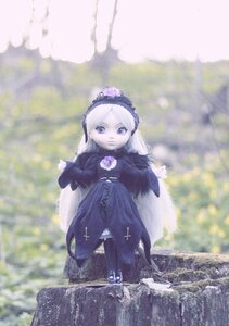 Rating: Safe Score: 0 Tags: 1girl black_dress blurry blurry_background blurry_foreground depth_of_field doll dress flower long_hair long_sleeves looking_at_viewer outdoors purple_eyes rose solo standing suigintou User: admin