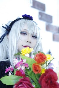 Rating: Safe Score: 0 Tags: 1girl bangs blurry blurry_background blurry_foreground depth_of_field flower hairband lips long_hair looking_at_viewer photo red_eyes red_flower red_rose ribbon rose solo suigintou white_hair User: admin