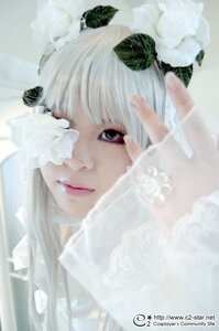Rating: Safe Score: 0 Tags: 1girl artist_name bangs blurry closed_mouth depth_of_field eyelashes kirakishou leaf lips looking_at_viewer nose photo portrait realistic scarf solo watermark web_address white_hair User: admin