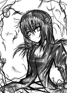 Rating: Safe Score: 0 Tags: 1girl bug butterfly closed_mouth feathers flower greyscale image insect long_hair looking_at_viewer monochrome rose sketch solo suigintou thorns upper_body white_background User: admin