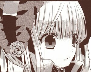 Rating: Safe Score: 0 Tags: 1girl blush close-up flower image long_hair looking_at_viewer monochrome pink_rose rose shinku solo User: admin