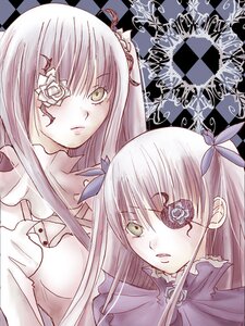 Rating: Safe Score: 0 Tags: 2girls barasuishou checkered checkered_background dress eyepatch flower frills green_eyes hair_ornament image kirakishou long_hair multiple_girls pair ribbon rose suigintou two_side_up User: admin