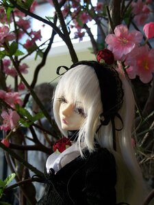 Rating: Safe Score: 0 Tags: 1girl auto_tagged bangs black_dress black_ribbon blurry blurry_background blurry_foreground closed_eyes closed_mouth depth_of_field doll dress flower lips long_hair red_flower ribbon solo suigintou upper_body white_hair User: admin