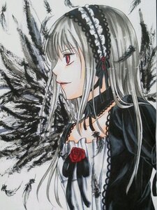 Rating: Safe Score: 0 Tags: 1girl black_ribbon dress feathers flower frills hairband image long_hair long_sleeves profile red_flower red_rose rose silver_hair solo suigintou traditional_media upper_body User: admin