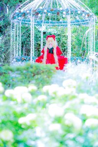 Rating: Safe Score: 0 Tags: 1girl blonde_hair blurry blurry_foreground day depth_of_field dress dutch_angle field flower flower_field long_hair red_dress ribbon shinku solo User: admin