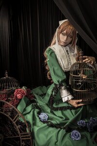 Rating: Safe Score: 0 Tags: 1girl birdcage blonde_hair cage dress drill_hair flower green_dress green_eyes long_hair red_flower red_rose rose smile solo suiseiseki User: admin