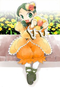 Rating: Safe Score: 0 Tags: 1girl :d dress drill_hair flower frills full_body green_eyes green_hair image kanaria long_sleeves open_mouth rose smile solo User: admin