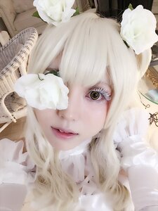 Rating: Safe Score: 0 Tags: 1girl animal_ears bangs face fur_collar insect_girl kirakishou lips looking_at_viewer portrait realistic solo white_flower white_hair white_rose User: admin