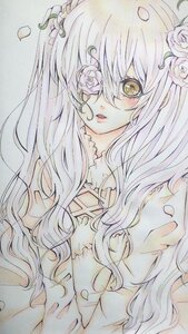 Rating: Safe Score: 0 Tags: 1girl eyepatch flower hair_flower hair_ornament image kirakishou long_hair looking_at_viewer one_eye_covered parted_lips petals pink_flower pink_rose rose solo thorns traditional_media upper_body white_flower white_rose yellow_eyes User: admin