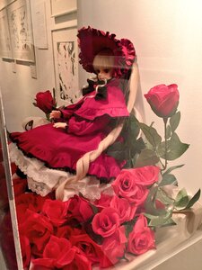 Rating: Safe Score: 0 Tags: 1girl doll dress flower frills pink_rose red_dress red_flower red_rose rose shinku solo User: admin