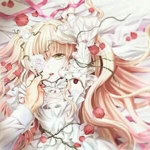 Rating: Safe Score: 0 Tags: 1girl blonde_hair blurry blurry_foreground depth_of_field eyepatch flower frills green_eyes image kirakishou long_hair looking_at_viewer lying petals red_flower rose rose_petals solo very_long_hair white_flower white_rose User: admin