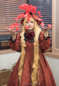 Rating: Safe Score: 0 Tags: 1girl blonde_hair blurry blurry_background blurry_foreground depth_of_field dress flower long_hair long_sleeves photo red_dress rose shinku solo User: admin