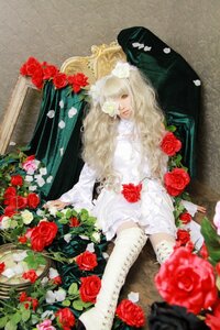 Rating: Safe Score: 0 Tags: 1girl blonde_hair dress flower kirakishou lips long_hair plant red_flower red_rose rose rose_petals sitting solo thorns vines white_rose yellow_eyes User: admin