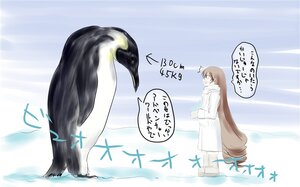 Rating: Safe Score: 0 Tags: 1girl animal bird brown_hair feathers image long_hair long_sleeves penguin solo standing suiseiseki User: admin