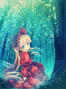 Rating: Safe Score: 0 Tags: 1girl blonde_hair blue_eyes bonnet bow capelet dress flower image long_hair long_sleeves looking_at_viewer looking_back nature red_dress rose shinku solo very_long_hair User: admin
