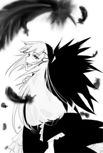 Rating: Safe Score: 0 Tags: 1girl bird black_feathers blurry blurry_foreground crow depth_of_field feathered_wings feathers greyscale image long_hair looking_at_viewer monochrome motion_blur open_mouth smile solo suigintou teeth wings User: admin