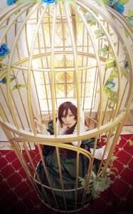 Rating: Safe Score: 0 Tags: 1girl blue_flower blue_rose brown_hair closed_eyes dress flower indoors long_hair plant rose sitting solo stained_glass suiseiseki window User: admin