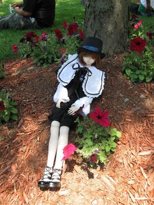 Rating: Safe Score: 0 Tags: brown_hair capelet doll flower hair_over_one_eye hat red_flower short_hair sitting solo souseiseki white_legwear User: admin