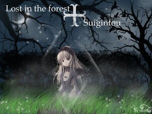 Rating: Safe Score: 0 Tags: 1girl black_dress dress flower gothic_lolita grass hairband image lolita_fashion long_hair looking_at_viewer outdoors red_eyes solo suigintou tree User: admin