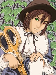 Rating: Safe Score: 0 Tags: brown_hair frills green_eyes hat heterochromia holding_hands image long_sleeves looking_at_viewer plant red_eyes ring solo souseiseki suiseiseki top_hat User: admin