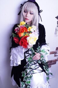 Rating: Safe Score: 0 Tags: 1girl blue_eyes dress flower frills gothic_lolita hairband lips lolita_fashion long_hair long_sleeves realistic rose silver_hair solo suigintou User: admin